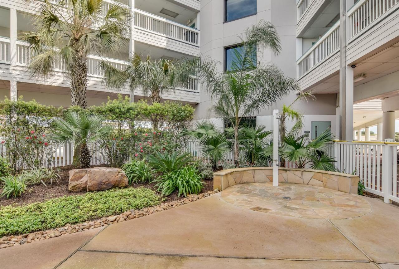 Cdm 304 - Beachfront Serenity 加尔维斯敦 外观 照片